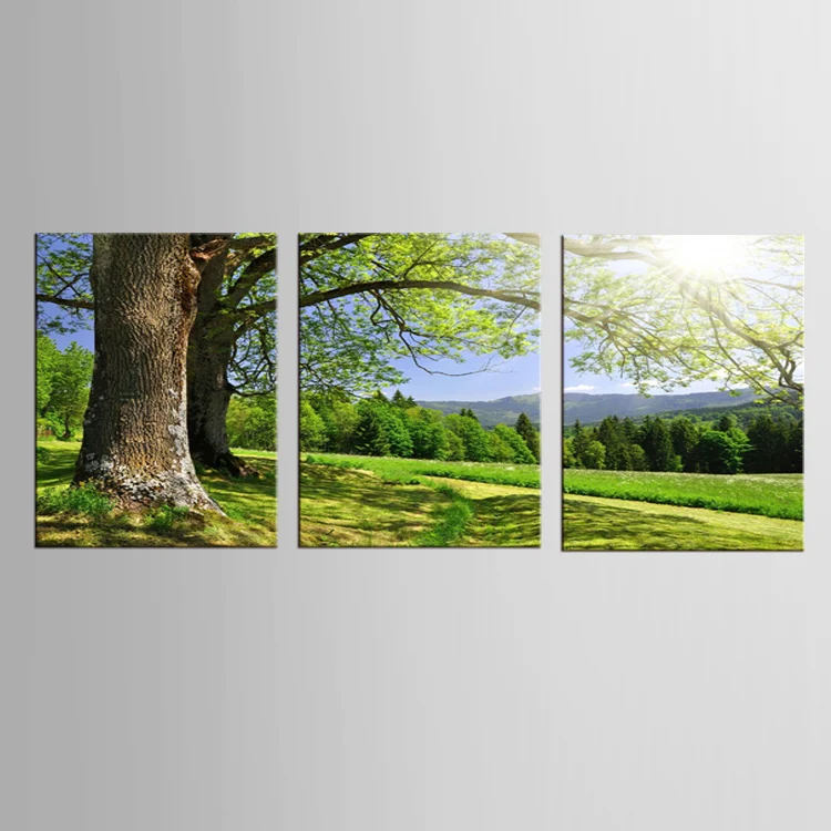 3 шт./компл. изображения пейзажа с изображением солнечных листьев рисунки на