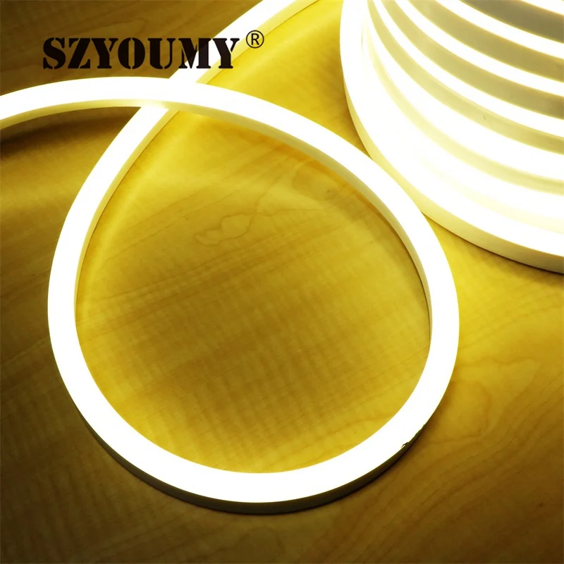 SZYOUMY AC220V неоновая Светодиодная лента светильник 25x15 мм Фея ing IP67
