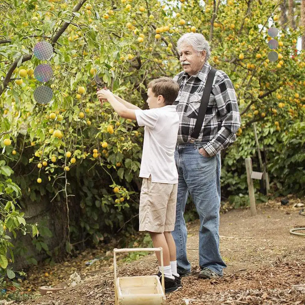 8 шт. Светоотражающие Диски для отпугивания птиц | Дом и сад