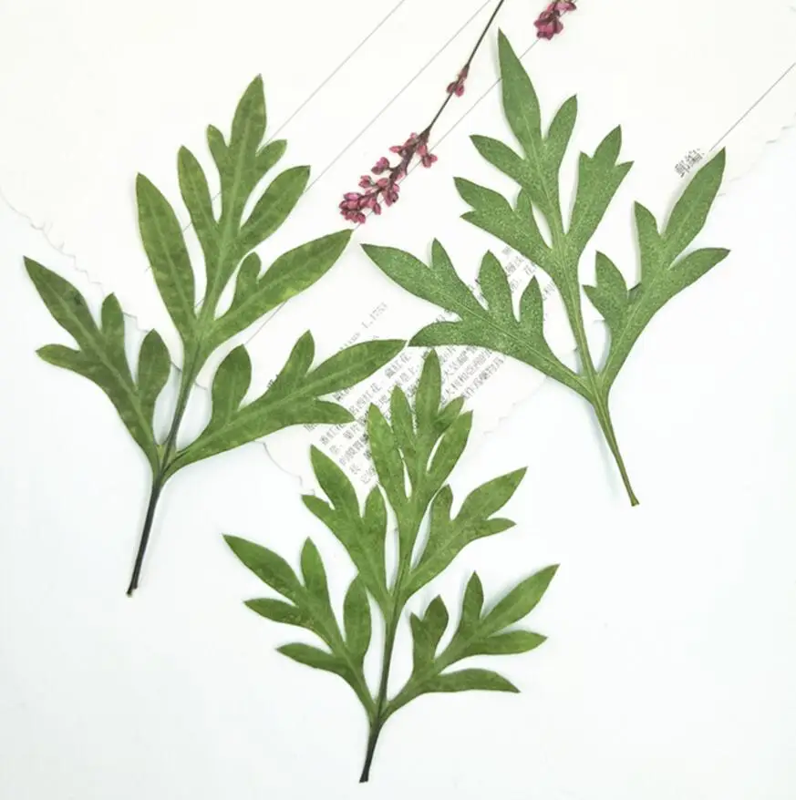 120 шт. цветочный космический наполнитель для эпоксидной смолы|Искусственные и