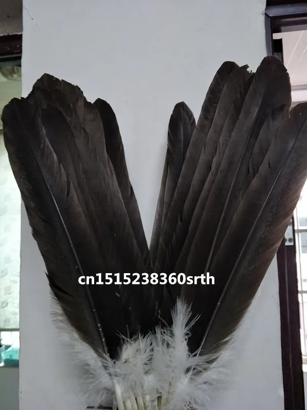 Plumas de &aacute;guila naturales de alta calidad, accesorios decorativos de joyer&iacute;a para actuaciones y escenario, 40-50cm/16-20 pulgadas, 10 Uds., venta al por mayor-1