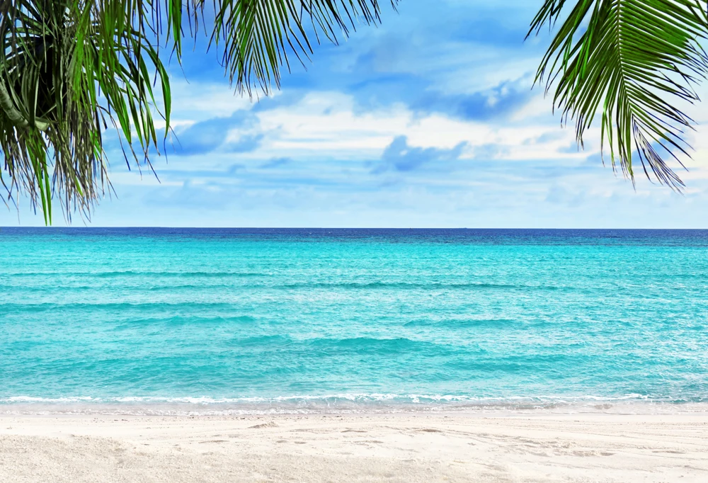 BEIPOTO Лето голубое небо море остров пляж фотографии фоны фото фон студия реквизит