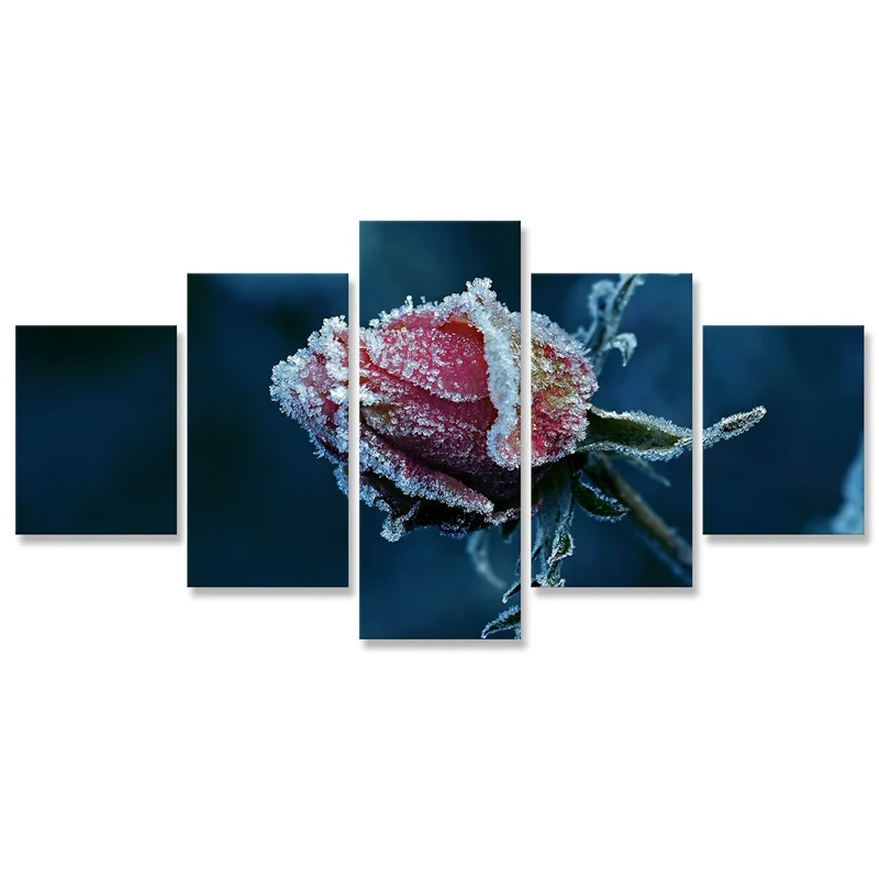 Картина на холсте природа Зимний цветок мороза красная роза крупным планом 5 штук