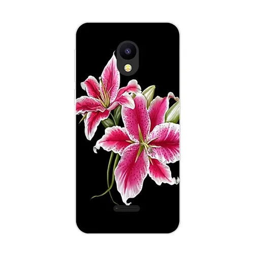 GG19 Meizu C9 Pro Чехол, силиконовая цветочная картина с изображением растений мягкая задняя крышка из ТПУ для Meizu C9 защитный чехол для телефона - Цвет: GG19