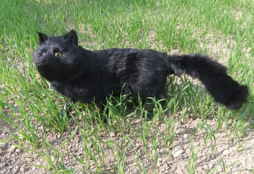 big simulation black fox toy beautiful lovely standing doll gift about 55x23cm | Игрушки и хобби