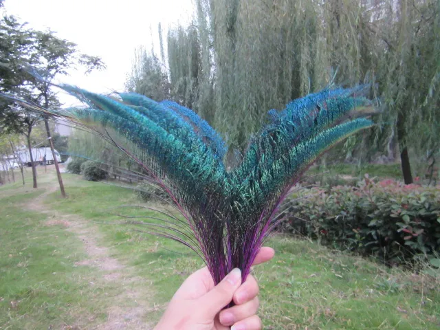 Wholesale beautiful purple peacock feather sword 20 pcs symmetrical size 35-40 cm 14-16 inches celebration decoration | Дом и сад