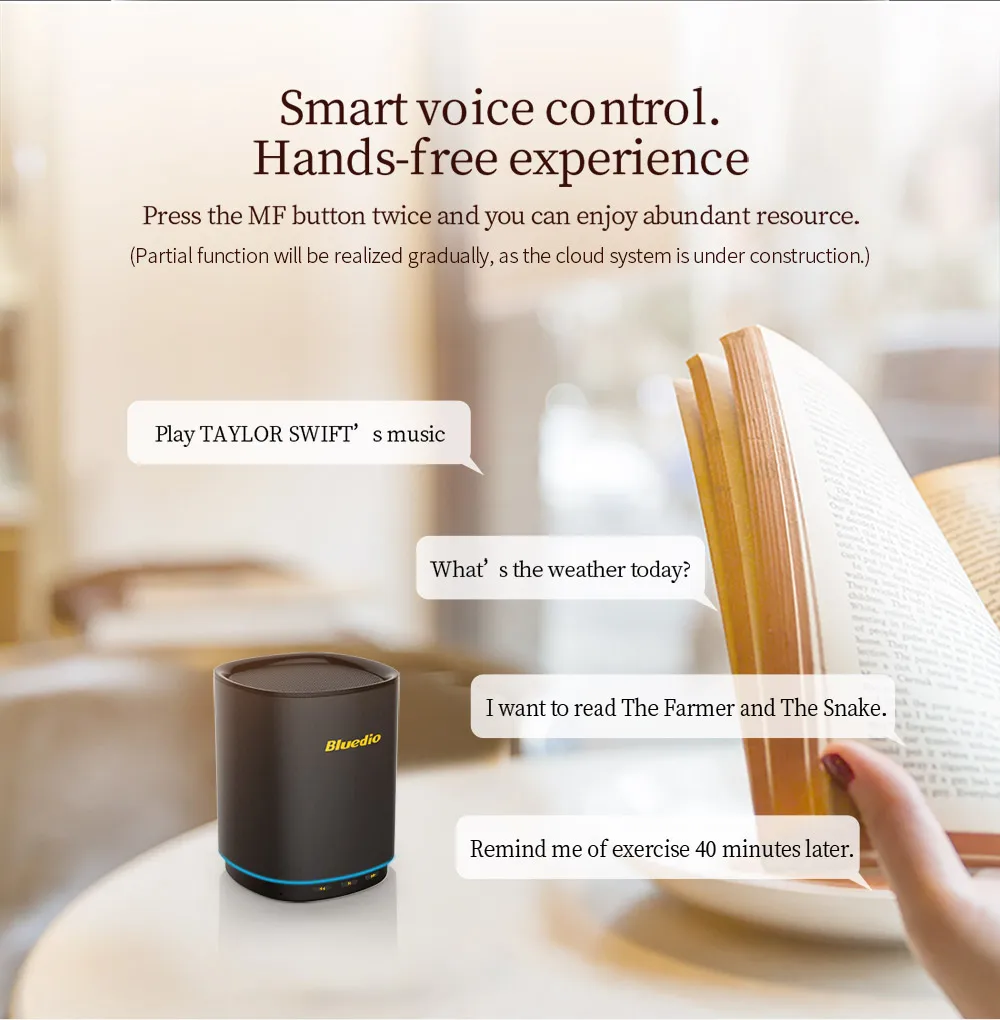 Bluedio TS5 портативный динамик Bluetooth беспроводной с микрофоном