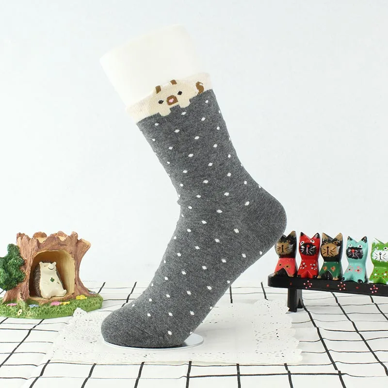 [COSPLACOOL] модные корейские смешные носки с котом/собакой Kawaii Новинка Meias милые