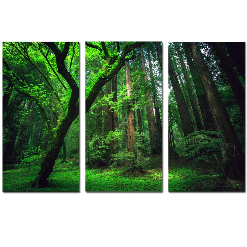 3 Panels Green Forest HD Canvas Print Painting Artwork Modern Home Wall Decor Art Picture On Prints | Дом и сад