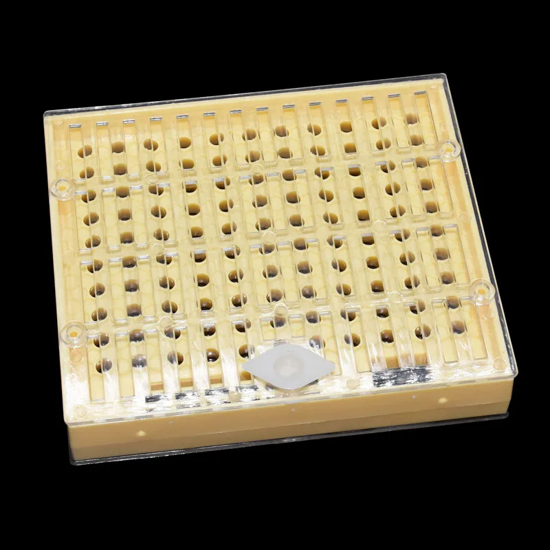1 компл. Пчеловодная королева Rearing Cupkit коробка 125x коричневая ячейка CupsSystem инструменты пчелиный Хранитель принадлежности для пчеловодства