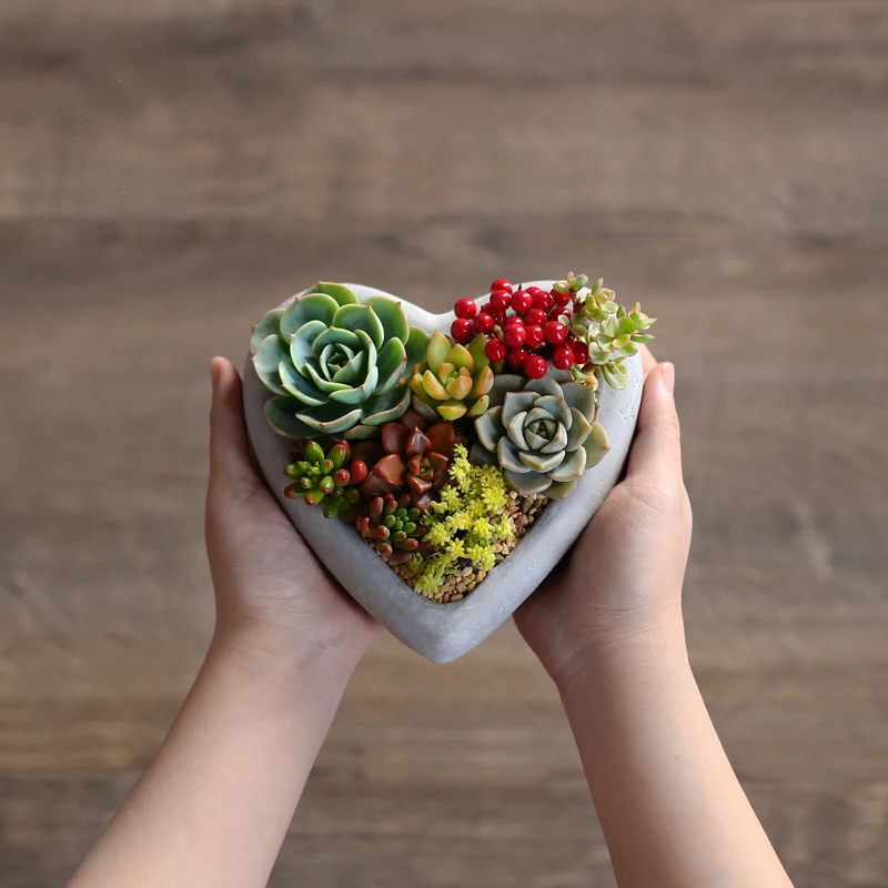 

Silicone Mold Planter Molds Heart Shapes Cement Multi-meat Flower Pots Mould Plants Potted Vase Molds PRZY Eco-friendly 54125