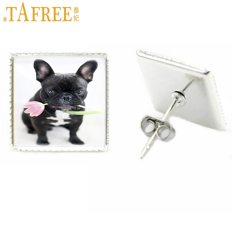 TAFREE 2017 милые животные квадратные серьги-гвоздики для женщин холст картины в виде
