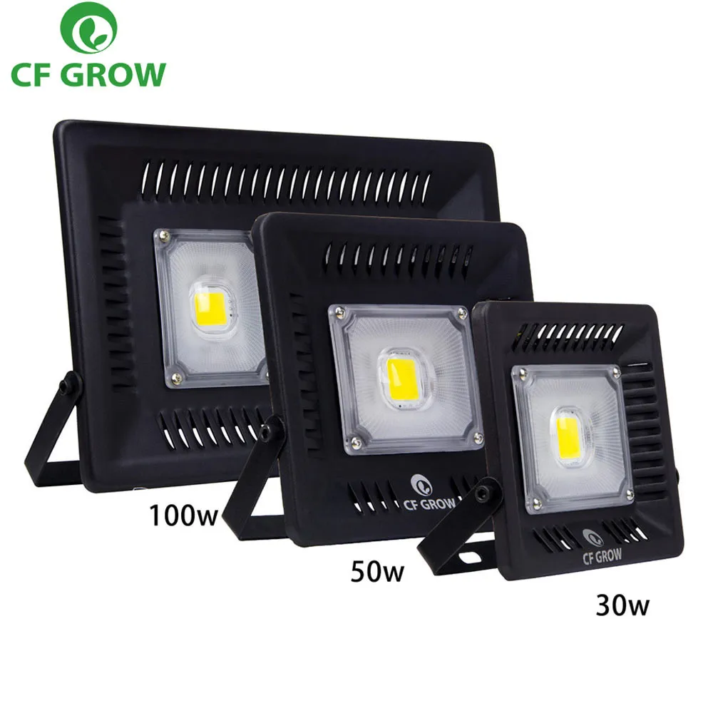 Waterproof Ip67 30w 50w 100w Ac Cob Led Floodlight 110v 220v Outdoor Wall Garden Led Lighting