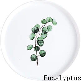 Eucalyptus 8/10 дюймов круглая тарелка керамическая обеденная Тарелка фарфоровая десертная тарелка столовая посуда тарелка для торта для еды креативные дизайнерские тарелки - Цвет: Eucalyptus
