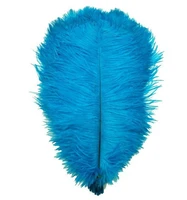 wholasale 10pcs lake blue ostrich feathers for crafts 15 70cm carnival costumes party home wedding decorations natural plumas