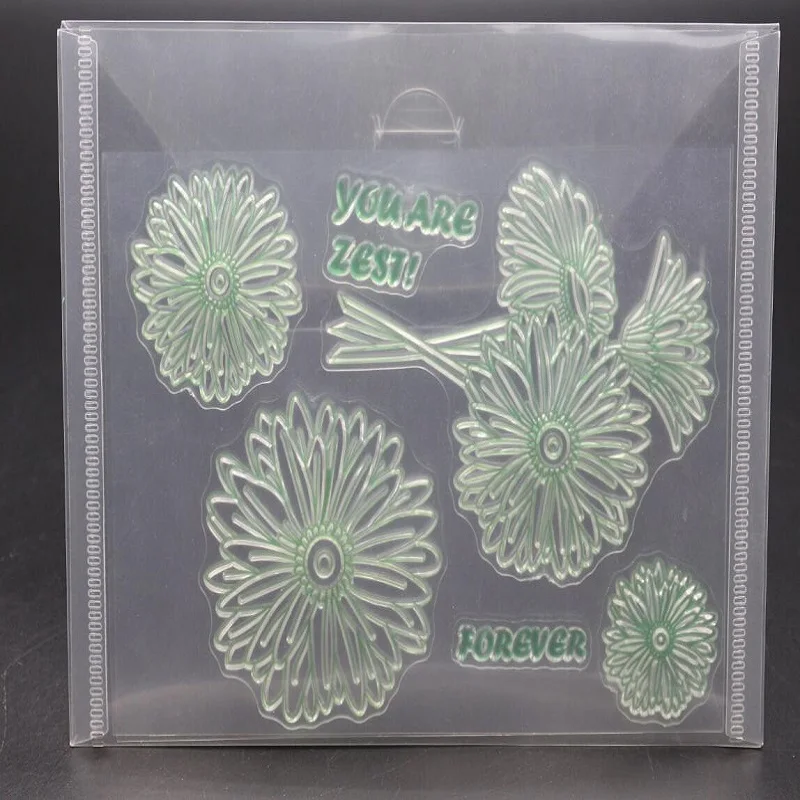 5 шт. прозрачный металлический штампованный лист для хранения пластиковый