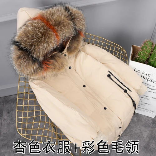 Apricot-multicolor 5XL, плюс размер, белый пуховик на утином пуху, женские зимние парки, гусиное перо, пальто, длинная теплая одежда, мех енота, верхняя одежда, Okq070 - Цвет: Apricot-multicolor