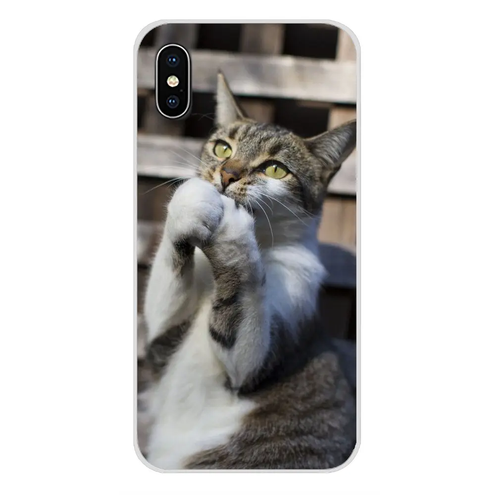 Аксессуары чехлы для телефона Молящиеся котята Коты милые Xiaomi Mi6 A1 5X 6X Redmi Note 5 5A 4X 4A