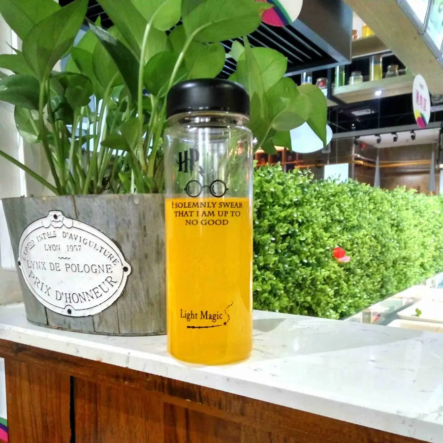 Простая летняя бутылка для воды 500 мл экологически безопасная путешествий спорта