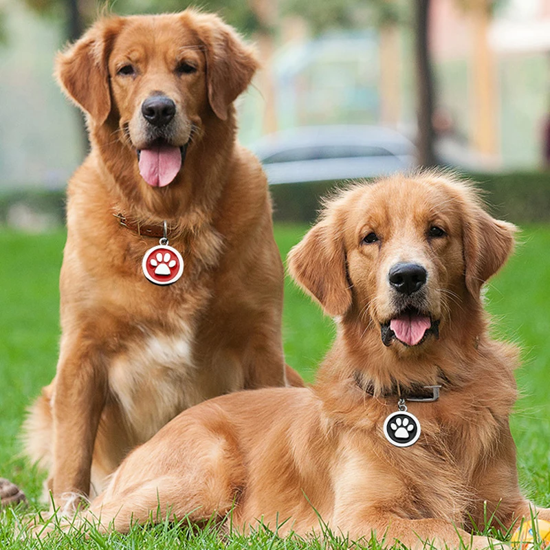 YVYOO персонализированные Бесплатные Выгравированные кошечки для собак ярлыки на