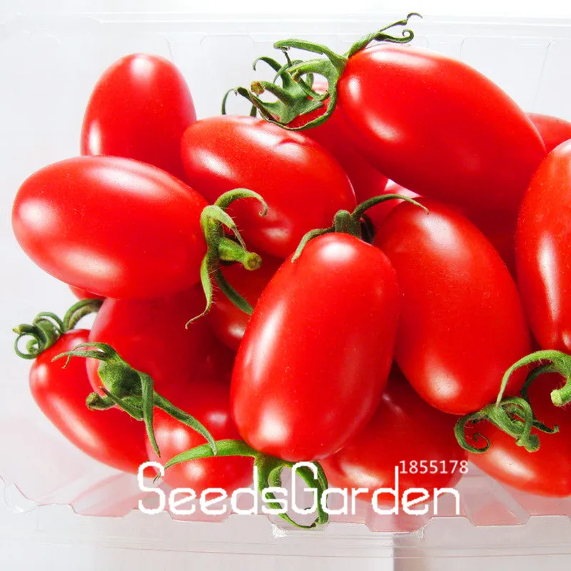 Новый сад 2018! 9 видов Черри помидоры Флорес фрукты плантаты овощи в горшке