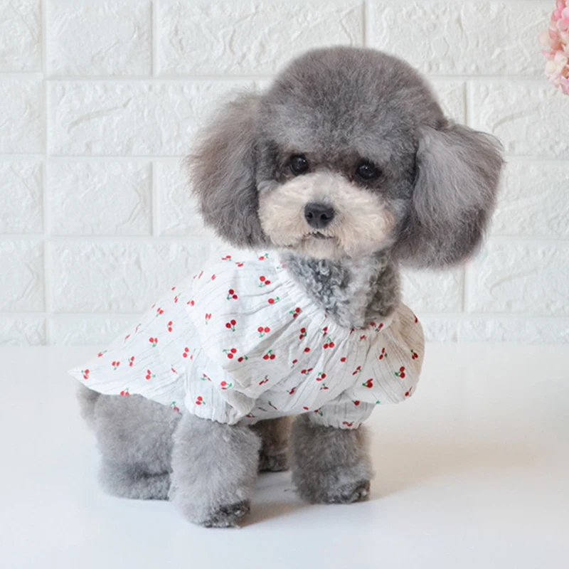 

Летняя одежда для маленьких собак с принтом вишни, Хлопковое платье для чихуахуа, классная рубашка для Йоркшира, S-2XL