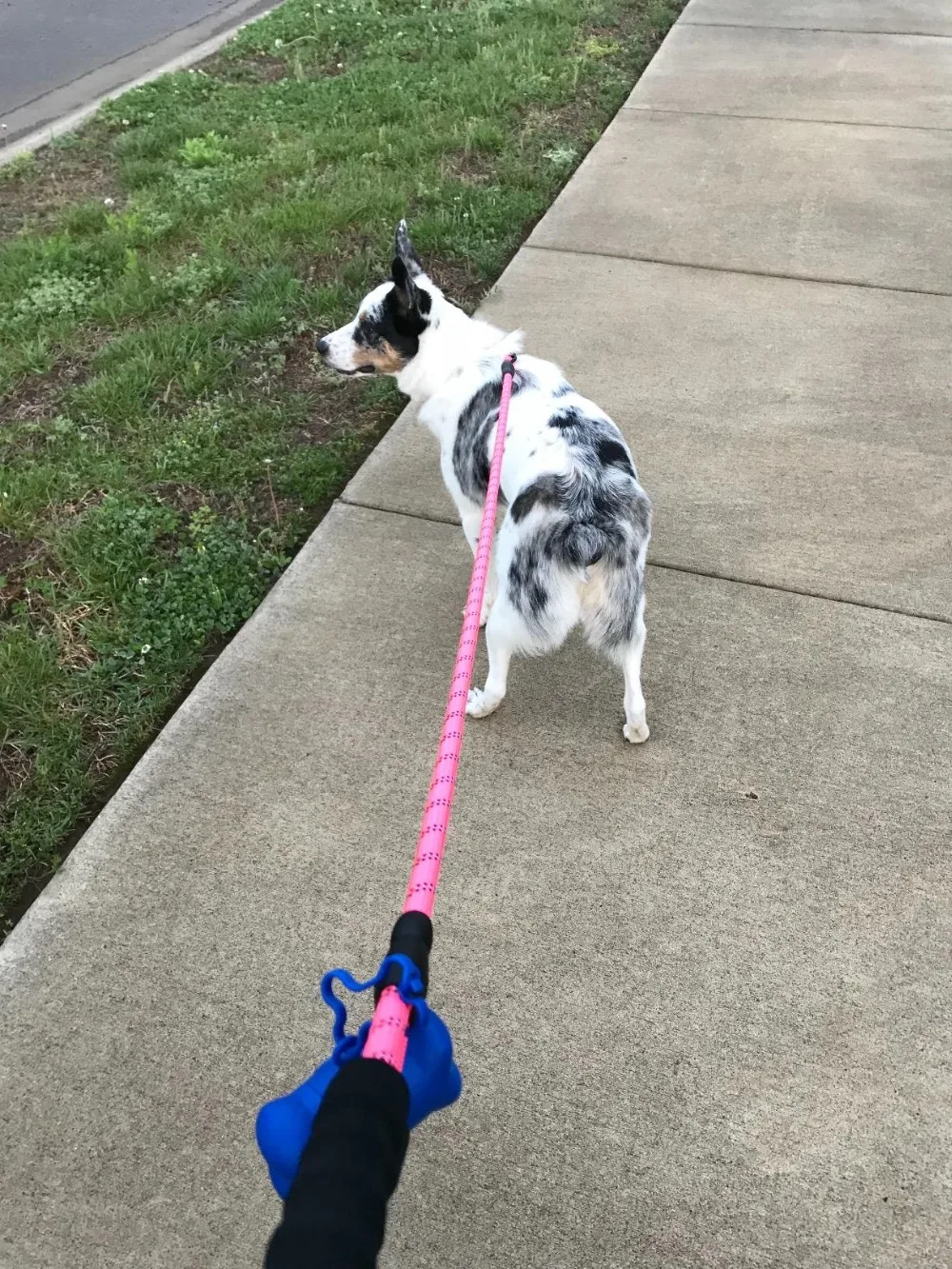 5FT Светоотражающий Поводок для собак с удобными мягкими поводок ручкой ночного