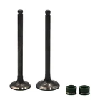 Мотоцикл Впускной Выпускной клапан комплект для Honda VT250F VT250Z SPADA Xelvis250 25V VTR250 VT Xelvis VTR 250 F Z