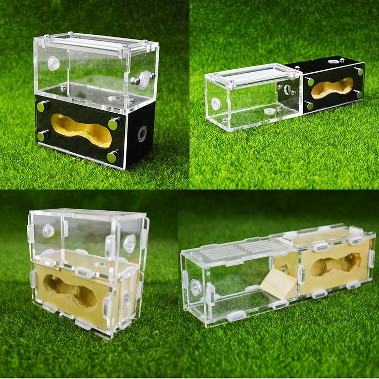 

1PCS Stitching No.1 Bionic Acrylic Gypsum Ant Nest