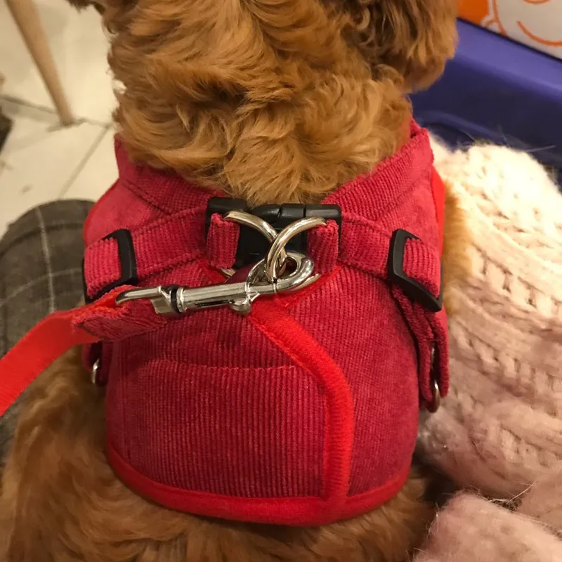 Поводок для кошек и собак регулируемый светоотражающий жилет поводок щенков