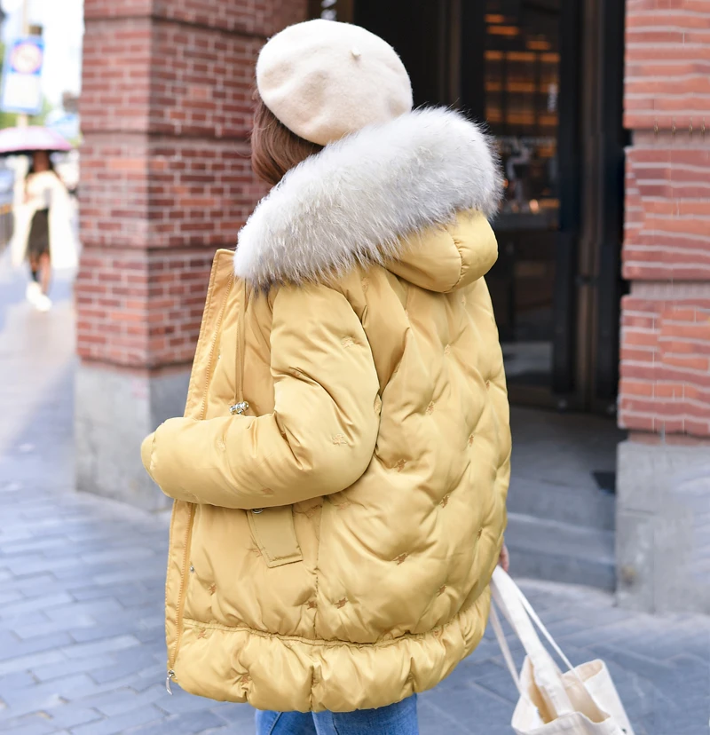 With Thicken Fur Collar New Winter Jacket Women Cotton Padded Outwear Female Coat Warm High Quality Ladies Parka