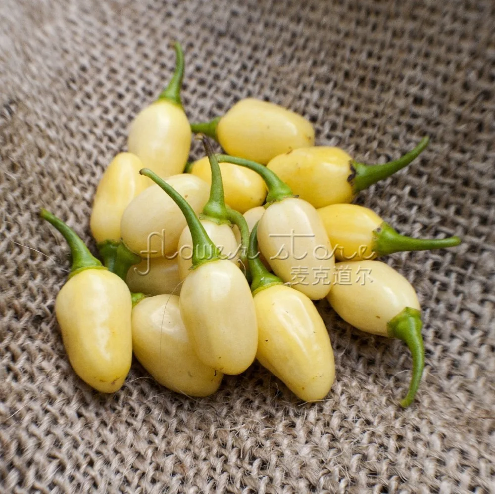 Редко 20 перуанский белый перец habanero огород декоративные семена Бесплатная