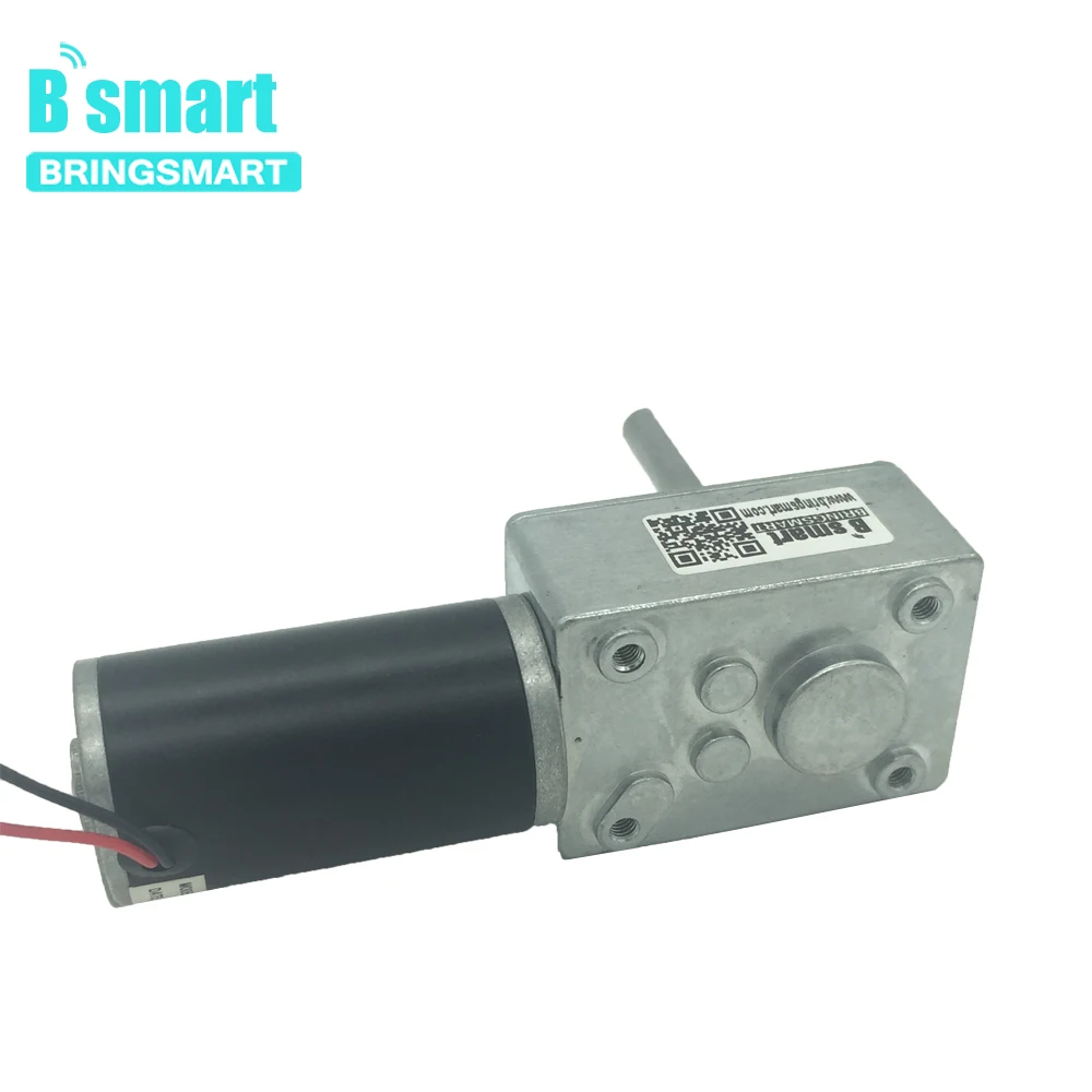 DC 24V PMDC Червячные редукторные двигатели с высоким крутящим моментом 12V Вольт двигатель постоянного тока обратный редукционный двигатель самоблокирующийся удлинитель 5840-31ZY