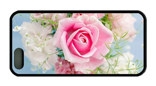 Free Shipping Hipster for iPhone 5 covers best pink rose bouquet 5/5S |
