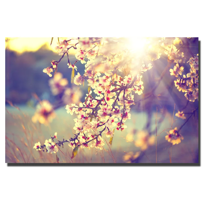 

Sakura Flowers Art Painting Japan Style HD Art Prints Beautiful Sping Scenery Landscape Canvas Painting For Living Room Decor