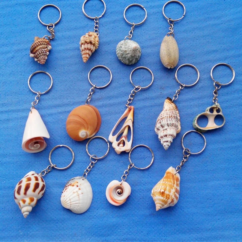 

1/5/10Pcs Natural Fashion Jewelry Mixed Conch Sea Shells charms Crafts Necklace DIY Keychain Jewelry Accessory Gift