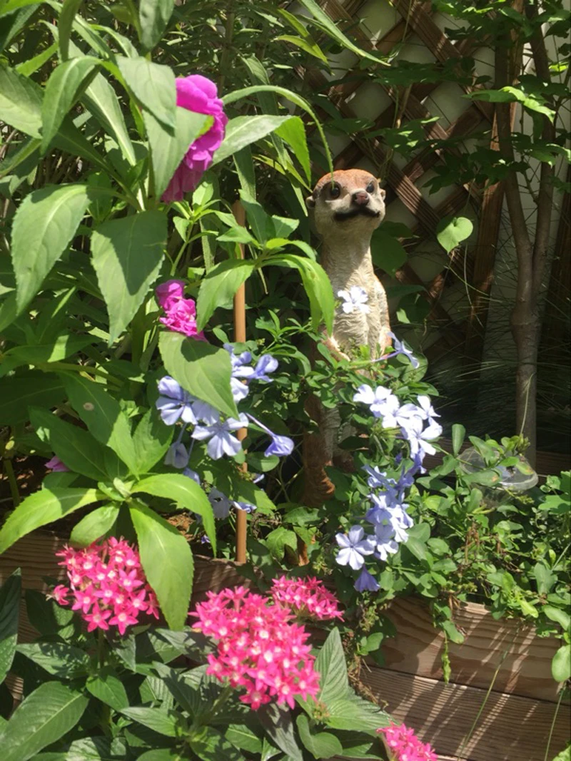 Скульптуры Mongoose meerkat украшение для сада искусственные животные домашний декор