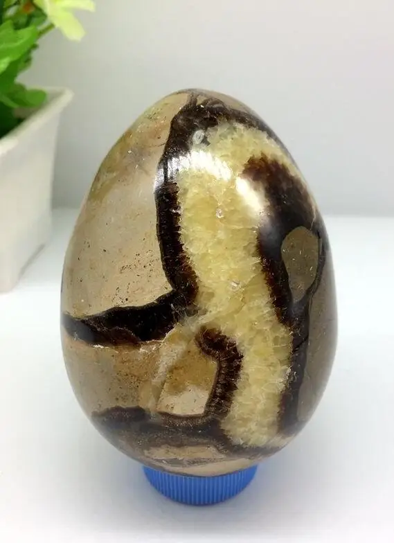 Высококачественный полированный драконий септариевый яйцо Сфера кристалл | Дом