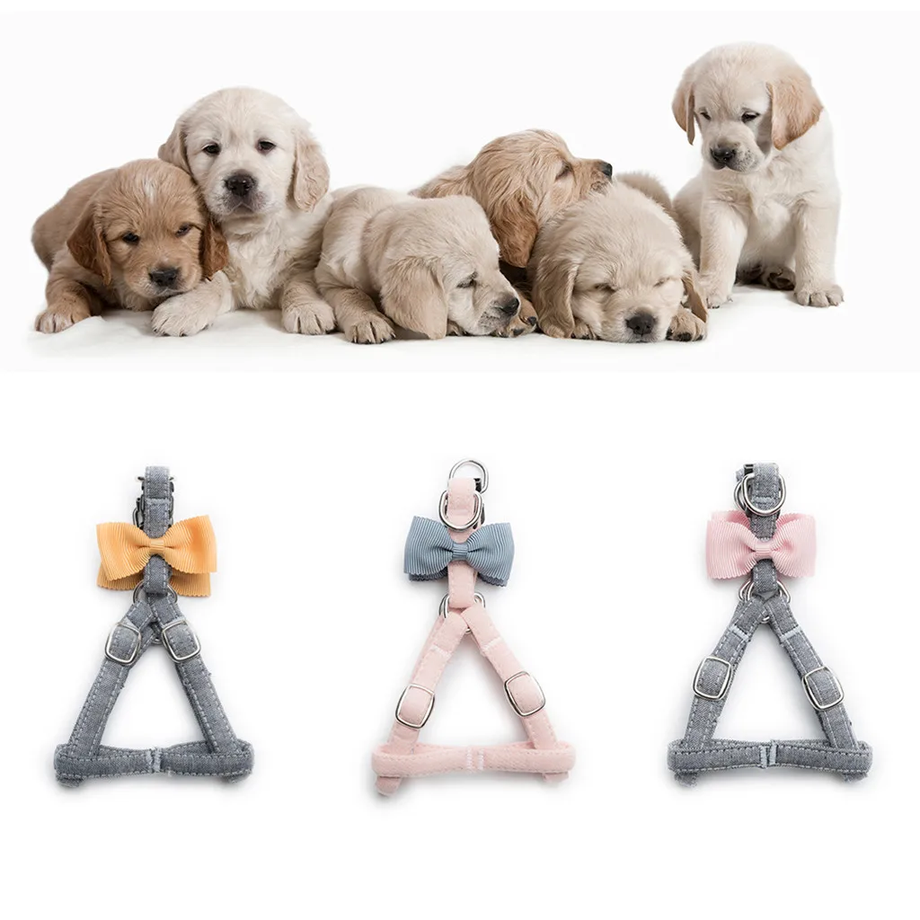 Шлейка для собак и кошек Trsnser комплект из жилета нагрудного ремня домашних