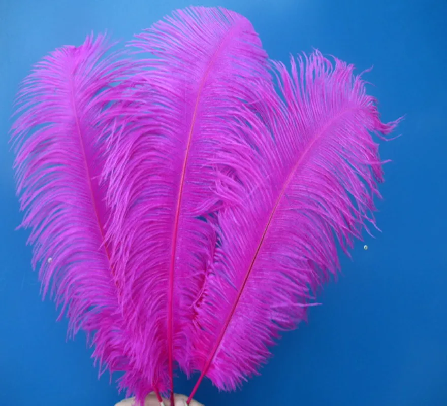 Продажа от производителя 50 шт. высокое качество розовые Страусиные перышки 18 20