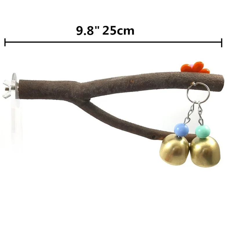 Сырой древесины попугай стойки сырой ветви дерева вилка птица стоящий кадр