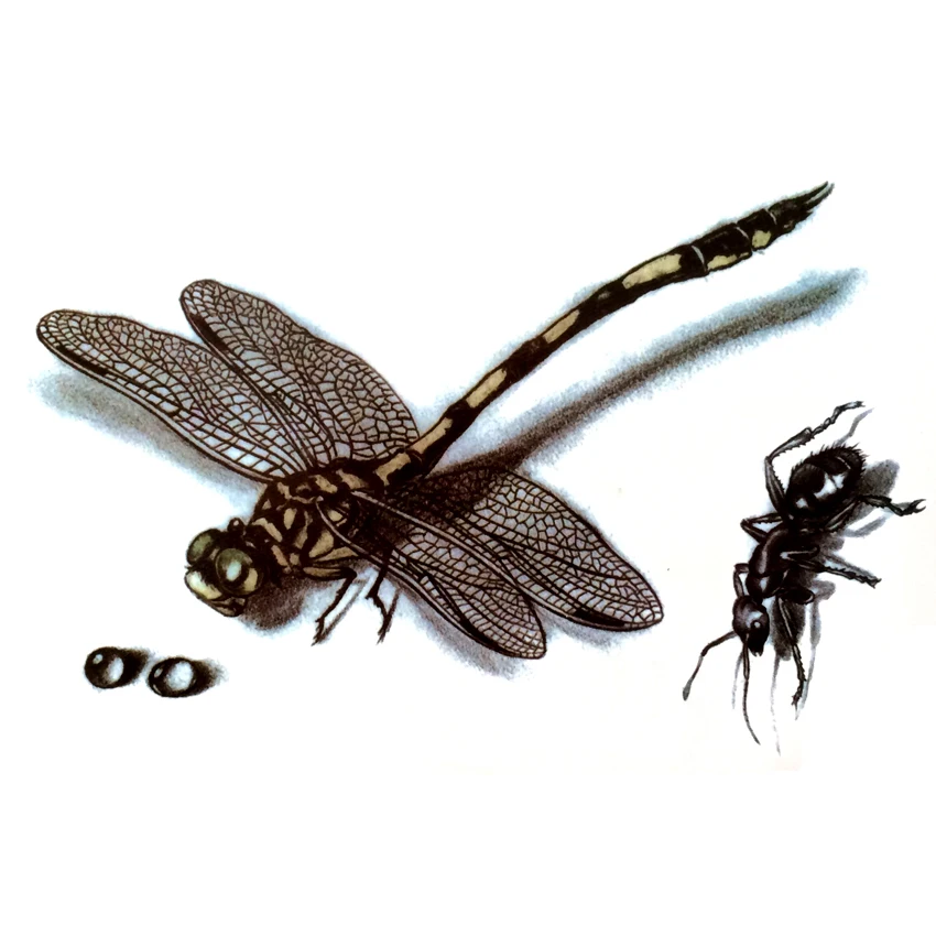 Водостойкая Временная тату-наклейка Dragonfly муравей Харадзюку мужчины