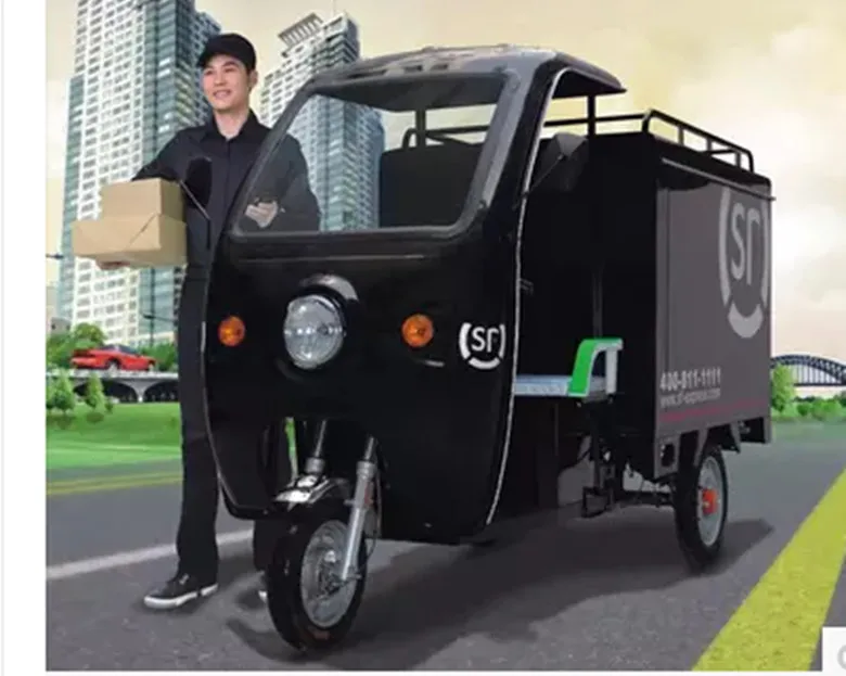 TJ-DKC-SF-60V-20AH-1000W-Tricycle passenger cabinet freight electric tricycle with food fruit plate | Спорт и развлечения