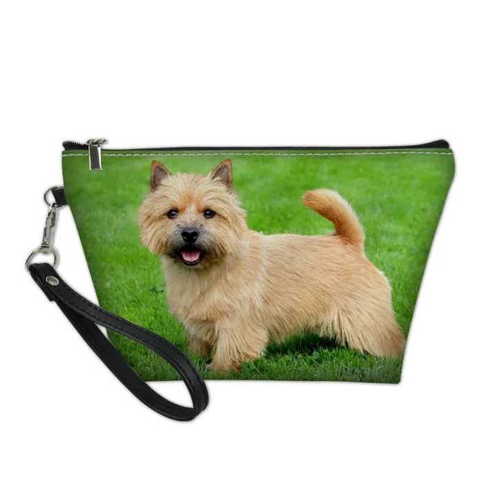 Y3955Z8 FORUDESIGNS Norwich Terrier печать женская косметика Макияж сумка туалетные принадлежности для путешествий Органайзер для дам кисеты косметичка - Цвет: Y3955Z8