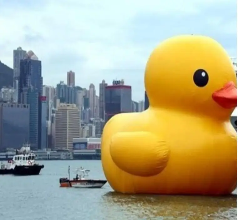 2 желтый м 1 синий и 3 метра из 5 один зеленый утка|duck|duck duckduck yellow |