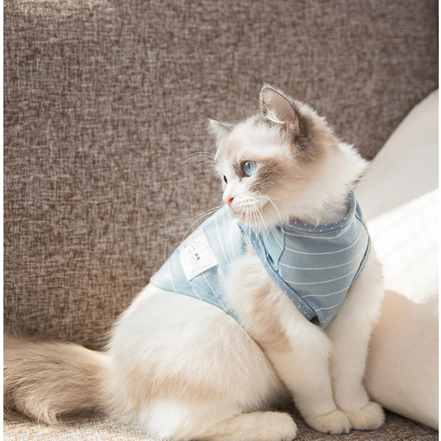 Костюм для котенка костюм кошки всех сезонов отдыха Ropa Para Gatos De Navidad одежда зимняя