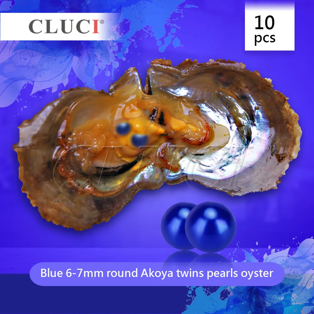 

CLUCI 10pcs Akoya twins Cultured Sea Pearl Oyster Akoya Cultured Pearls royal blue 6-7mm One pearl oyster with 2 pearls WP260SB