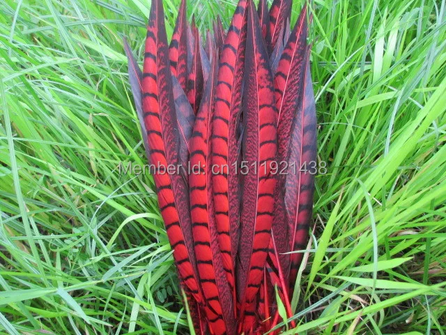 Бесплатная доставка оптовая продажа 100 шт. высокое качество натуральное покрытие