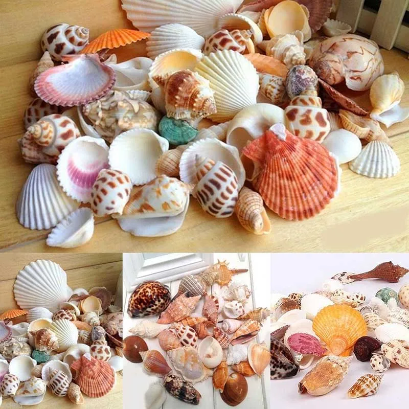 100 г новые смешанные пляжные морские ракушки аквариумные рыбки украшение для