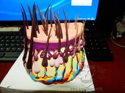 Процесс выращивания волос анатомическая модель кожи волосяные луковицы